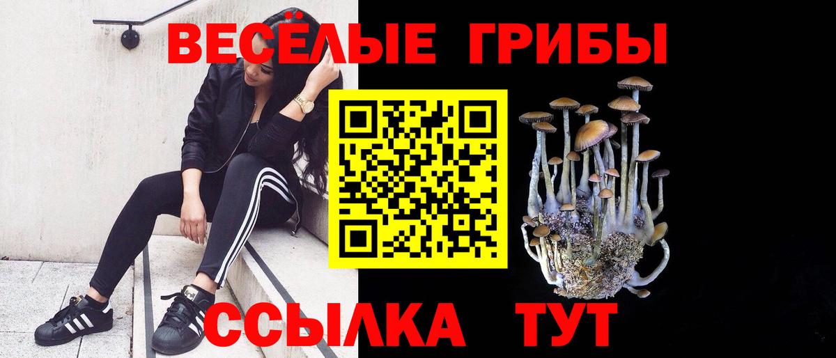 Псилоцибиновые грибы мухоморы  Вход с VPN  Галлюциногенные грибы мухоморы  даркнет сайт  Северск 